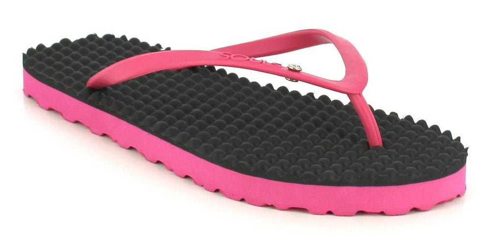 Pink_Peacock