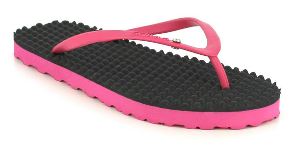 Pink_Peacock