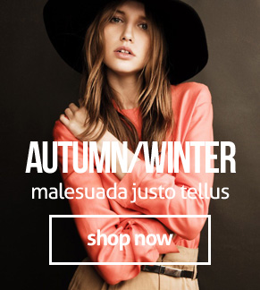 image with class .fluid